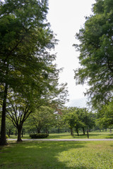 Fototapeta na wymiar Landscape of Toneri Park in Tokyo / Toneri park is a public park in Tokyo