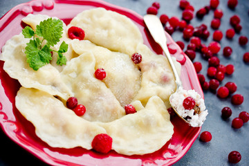 Russian dumplings with cottage cheese, cranberries and sugar