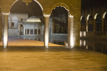 Antique Column at Fish Lake of Urfa