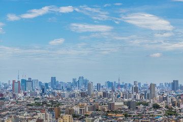 Fototapeta na wymiar 東京都全景　panoramic view of the capital Tokyo