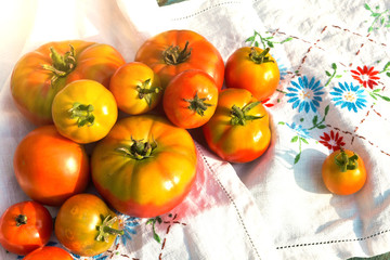 Tomatoes on a napkin on a tree, retro stylized. place for text