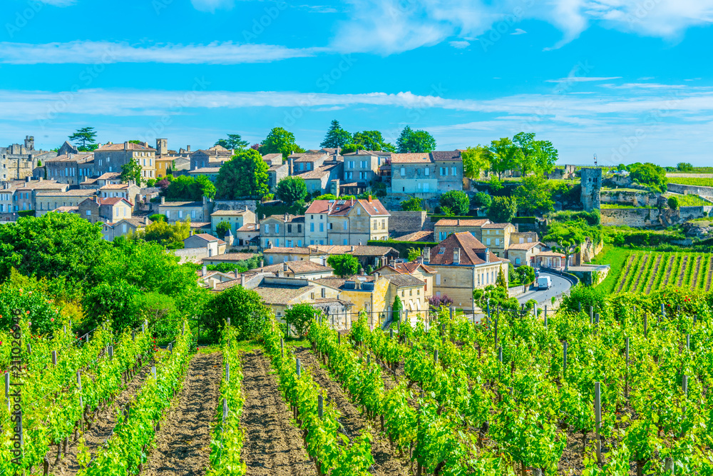 Wall mural vineyards at saint emilion, france