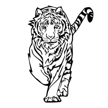 Tiger walk silhouette drawing tattoo vector with white isolated background