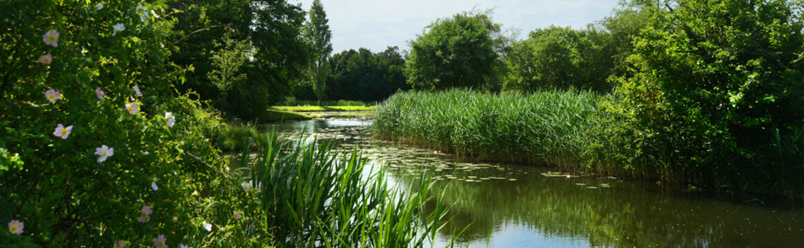 Landschaft 568