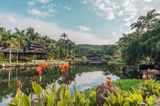 Exotic vegetation on pond in park