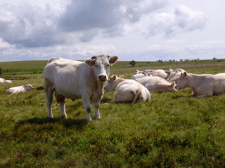 rando au col des Supeyres