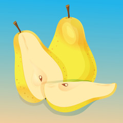 pear illustration vector