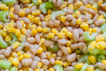maïs, haricot blanc et céleri