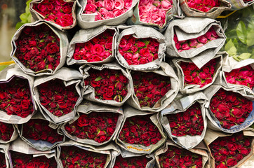 Flower Market in Bangkok