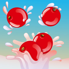 redcurrant splash vector