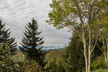 Cloudy morning in the Great Smoky Mountains National Park, Tennessee, USA