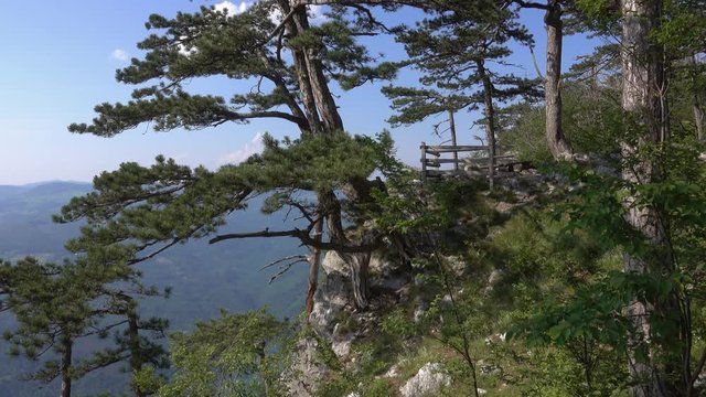 Viewpoint Banjska stena rock at Tara mountain looking down to Canyon of Drina river, Serbia, 4k