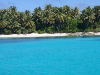 Tropical Blue Ocean along a Deserted Beach Front