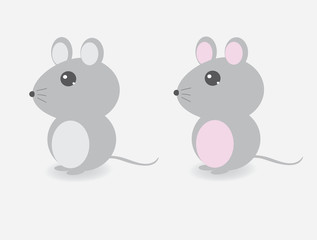 Cute mouse, female mouse, male mouse, mouse animal illustration
