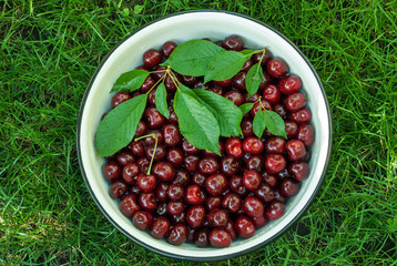 Cherry. Red fresh bunch of cherries