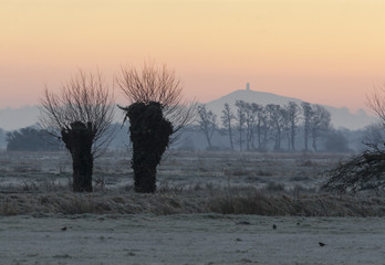 Early morning - The Somerset Levels and Glastonbury Tor