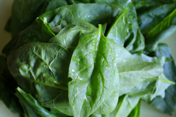 Fresh Spinach Leaves