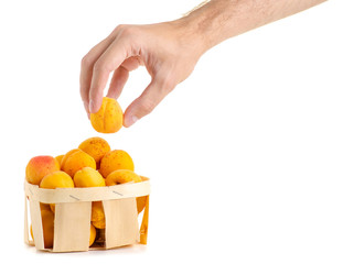 Apricots in a basket orange fruit in hand on a white background isolation