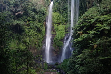 Sekumpul Beautiful waterfall Sekumpul in deep forest in Bali, Indonesia © vadimmva