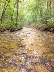 Missouri Riverbed in Summer