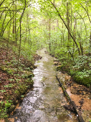 Missouri Riverbed in Summer