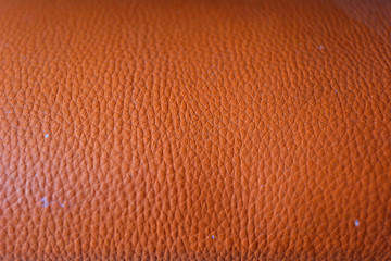 Obraz premium Brown skin texture