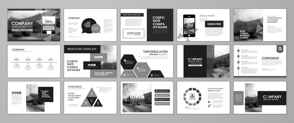 Fototapeta premium Сorporate slideshow templates