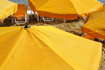 Gelbe Schirme