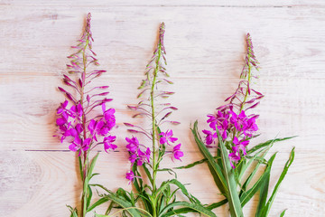 Chamaenerion flowers on white wooden background