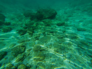 sea bottom. Calm underwater scene with copy space