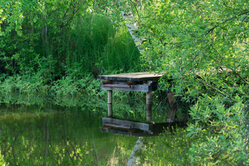 Fototapeta na wymiar old wooden bridge over the pond.