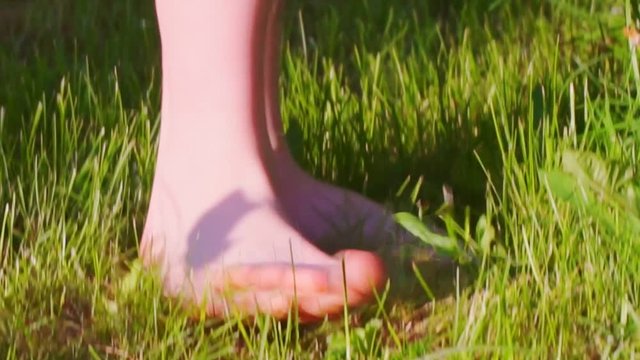 barefooted child walks through a green grass a sunny summer day.сlose-up.
