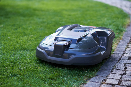 Rasenroboter f&auml;hrt einen Weg entlang und schneidet den Rasen kurz