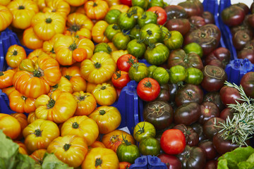 Fresh organic vegetables and fruits on farmer market in Paris, France