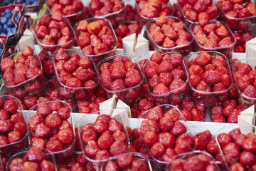 Fresh organic vegetables and fruits on farmer market in Paris, France