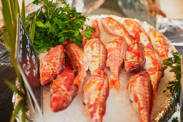 Fresh fish on farmer market