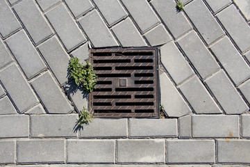 Detail of a manhole grid in the street