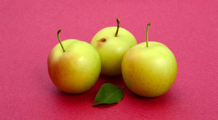 pure organic plum fruit