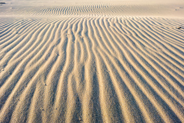 Waves on a sandy dune in the desert