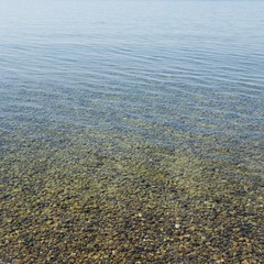 Blick in klares Wasser am Seeufer