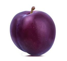 plum on a white background