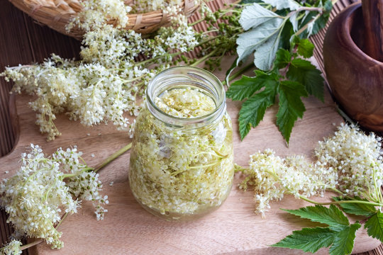 A jar filled with meadowsweet blossoms and alcohol, to prepare tincture