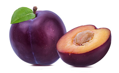 plum on a white background