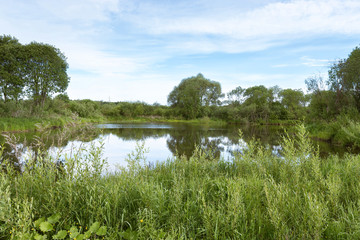 A picturesque pond with overgrown green banks and clouds in the blue sky. Sunny summer morning.