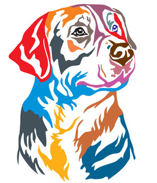 Colorful decorative portrait of Greater Swiss Mountain Dog vector illustration