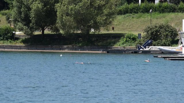 nuoto libero nel lago in una bella giornata di sole