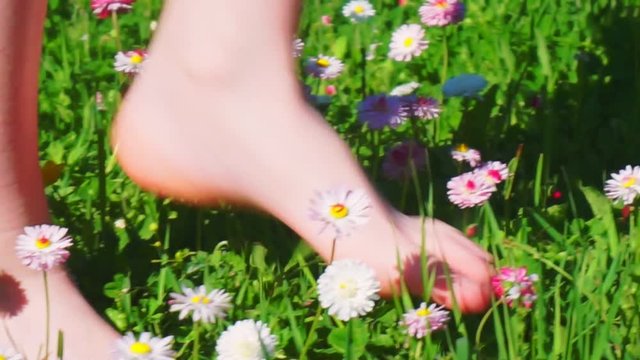 barefooted child walks through a green grass a sunny summer day.сlose-up.