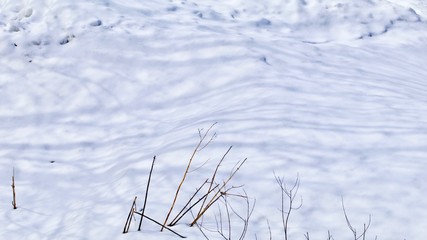 Winter Snow Shadows
