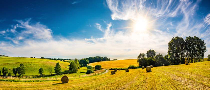 Fototapeta Landscape in summer with bright sun, meadows and golden cornfield in the background