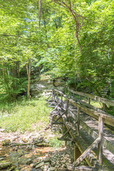 Wooden Bridge Over Creek in the Forrest